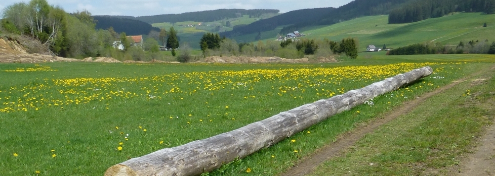 Ferien4