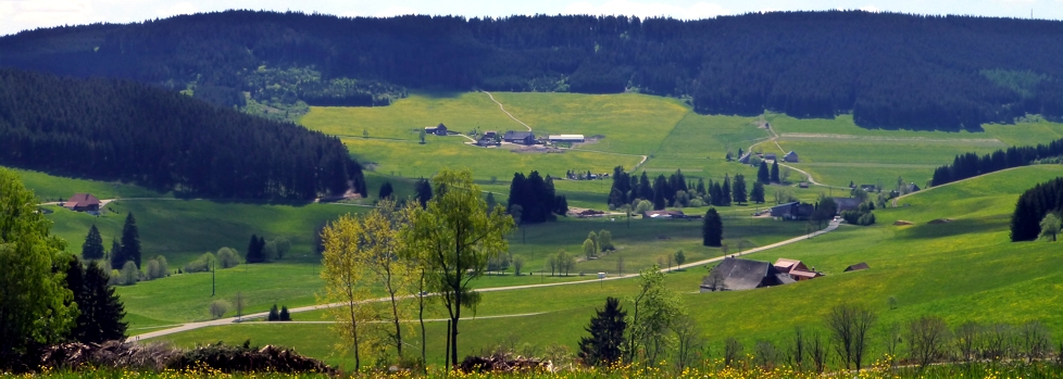 Unser Tal4