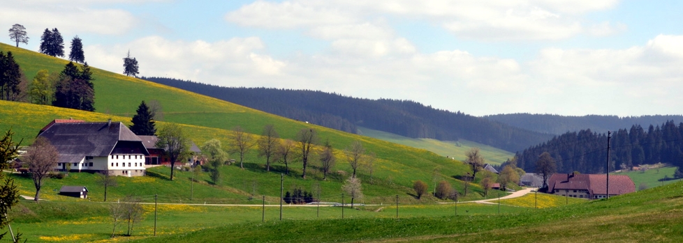neu-11
