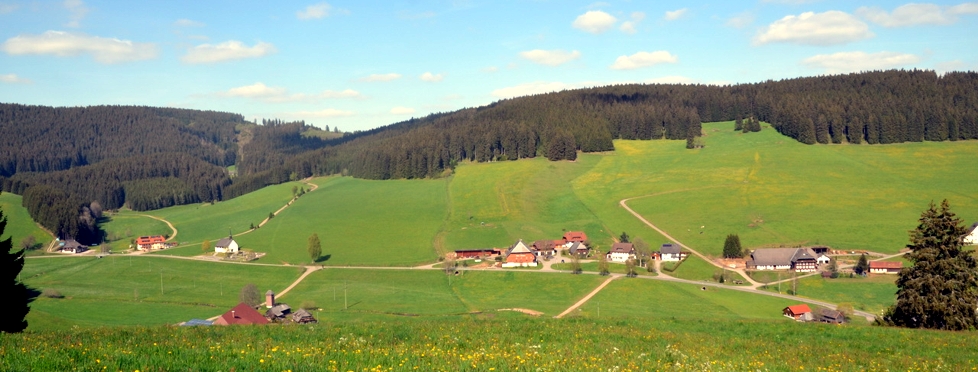 neu-7